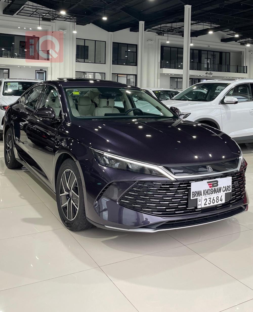 بي واي دي كوين L DM-i